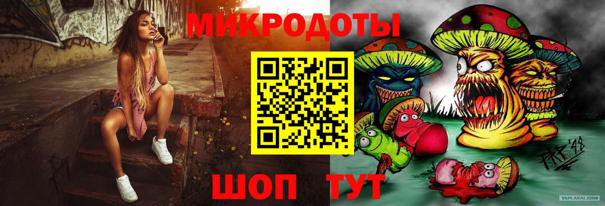 Псилоцибиновые грибы Psilocybe Избербаш