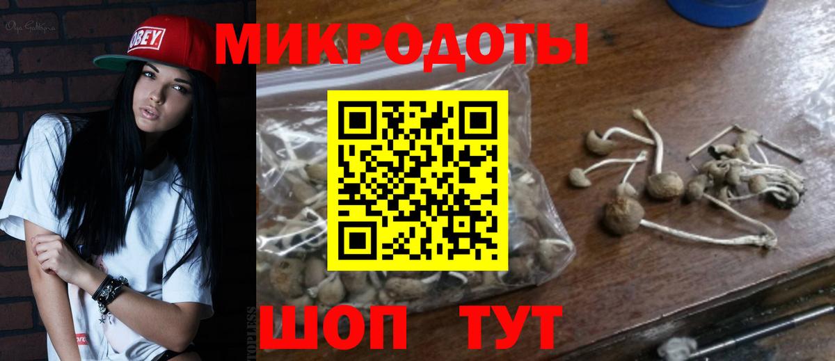Псилоцибиновые грибы мицелий  Вход с VPN  Псилоцибиновые грибы Psilocybine cubensis  Избербаш 